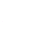 Animal Search